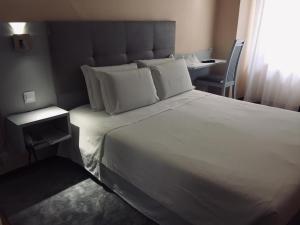 habitación individual - Hotel Excelsior
