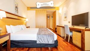 habitación doble estándar - admite mascotas  - Hotel Ilunion Pio XII