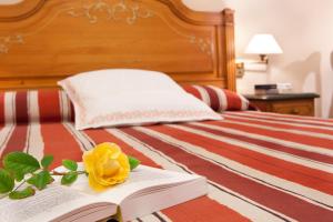 habitación doble - 1 o 2 camas - Hotel Rosa