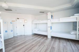 Cama en un dormitorio compartido de 8 camas con baño compartido - Safestay Madrid