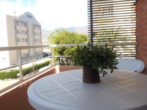 habitación individual con terraza - Hotel Tramontana